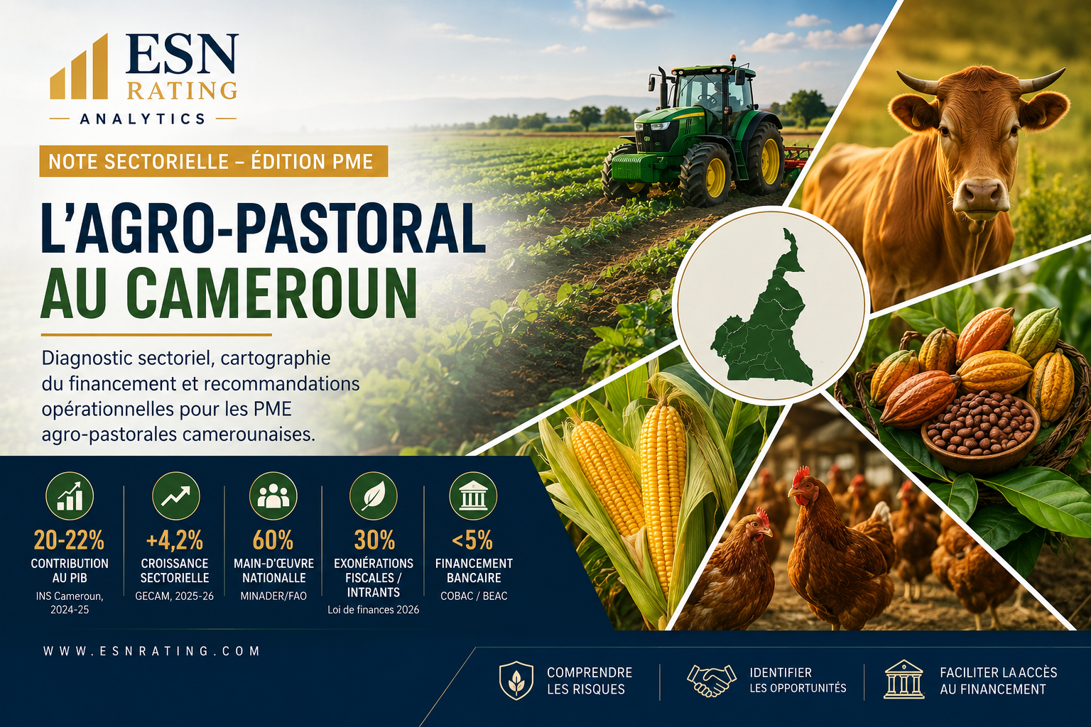 Note Sectorielle N°01 – L'Agro-pastoral au Cameroun : diagnostic sectoriel, cartographie du financement et recommandations pour les PME